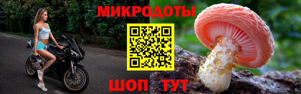 Галлюциногенные грибы Psilocybine cubensis  Вход с VPN  Елец 